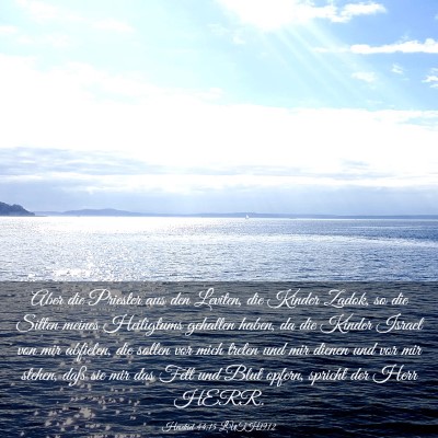 Picture 03 - Hesekiel 44:15 LUTH1912 - Aber die Priester aus den Leviten, die Kinder - Bible Verse Picture
