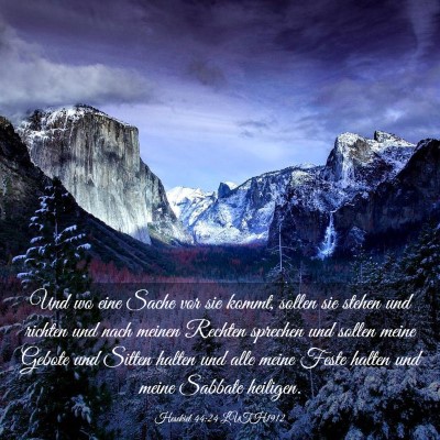 Picture 03 - Hesekiel 44:24 LUTH1912 - Und wo eine Sache vor sie kommt, sollen sie - Bible Verse Picture