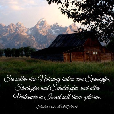 Picture 03 - Hesekiel 44:29 LUTH1912 - Sie sollen ihre Nahrung haben vom Speisopfer, - Bible Verse Picture