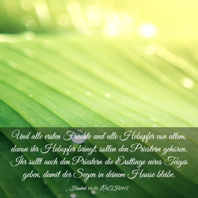 Picture 03 - Hesekiel 44:30 LUTH1912 - Und alle ersten Früchte und alle Hebopfer von - Bible Verse Picture