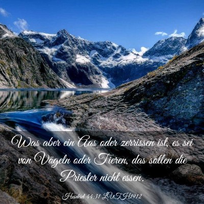 Picture 03 - Hesekiel 44:31 LUTH1912 - Was aber ein Aas oder zerrissen ist, es sei von - Bible Verse Picture