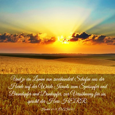 Picture 03 - Hesekiel 45:15 LUTH1912 - Und je ein Lamm von zweihundert Schafen aus der - Bible Verse Picture