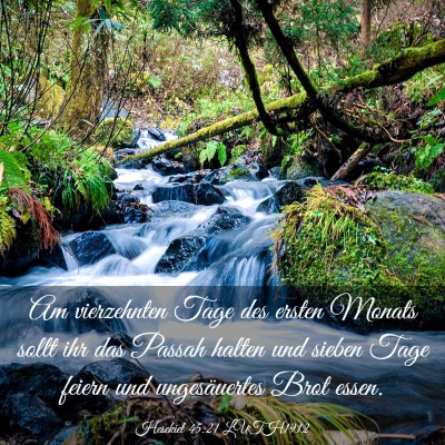 Picture 03 - Hesekiel 45:21 LUTH1912 - Am vierzehnten Tage des ersten Monats sollt ihr - Bible Verse Picture