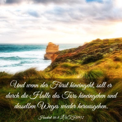 Picture 03 - Hesekiel 46:8 LUTH1912 - Und wenn der Fürst hineingeht, soll er durch die - Bible Verse Picture