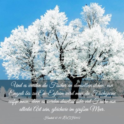 Picture 03 - Hesekiel 47:10 LUTH1912 - Und es werden die Fischer an demselben stehen; - Bible Verse Picture