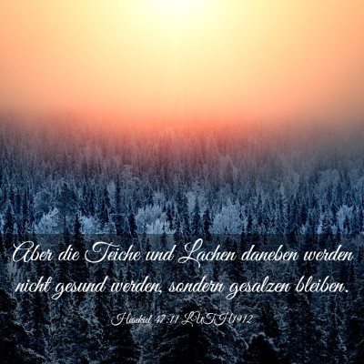Picture 03 - Hesekiel 47:11 LUTH1912 - Aber die Teiche und Lachen daneben werden nicht - Bible Verse Picture