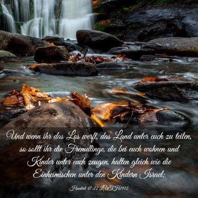 Picture 03 - Hesekiel 47:22 LUTH1912 - Und wenn ihr das Los werft, das Land unter euch - Bible Verse Picture