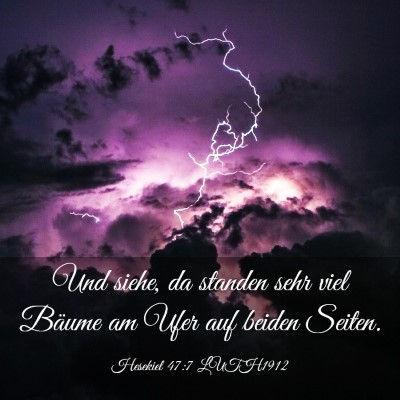Picture 03 - Hesekiel 47:7 LUTH1912 - Und siehe, da standen sehr viel Bäume am Ufer - Bible Verse Picture
