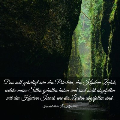 Picture 03 - Hesekiel 48:11 LUTH1912 - Das soll geheiligt sein den Priestern, den - Bible Verse Picture