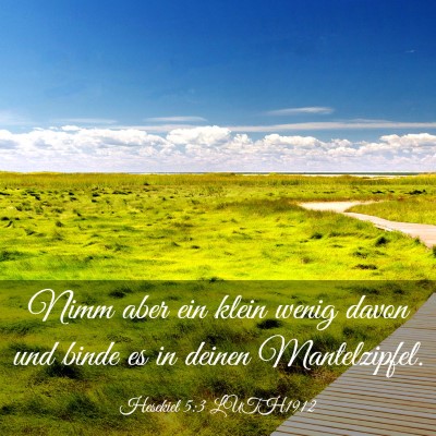 Picture 03 - Hesekiel 5:3 LUTH1912 - Nimm aber ein klein wenig davon und binde es in - Bible Verse Picture
