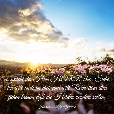 Picture 03 - Hesekiel 5:8 LUTH1912 - so spricht der Herr HERR also: Siehe, ich will - Bible Verse Picture