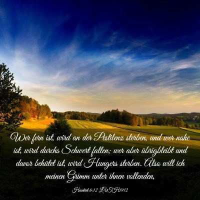 Picture 03 - Hesekiel 6:12 LUTH1912 - Wer fern ist, wird an der Pestilenz sterben, und - Bible Verse Picture