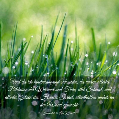 Picture 03 - Hesekiel 8:10 LUTH1912 - Und da ich hineinkam und sah, siehe, da waren - Bible Verse Picture