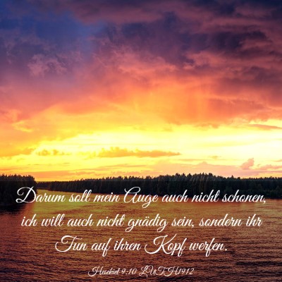 Picture 03 - Hesekiel 9:10 LUTH1912 - Darum soll mein Auge auch nicht schonen, ich will - Bible Verse Picture