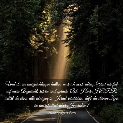 Picture 03 - Hesekiel 9:8 LUTH1912 - Und da sie ausgeschlagen hatten, war ich noch - Bible Verse Picture