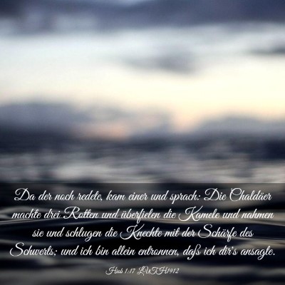 Picture 03 - Hiob 1:17 LUTH1912 - Da der noch redete, kam einer und sprach: Die - Bible Verse Picture