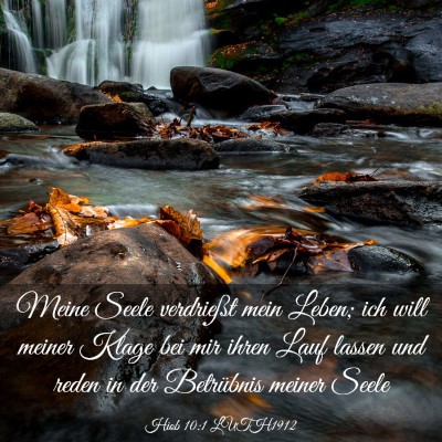 Picture 03 - Hiob 10:1 LUTH1912 - Meine Seele verdrießt mein Leben; ich will - Bible Verse Picture