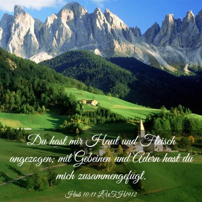 Picture 03 - Hiob 10:11 LUTH1912 - Du hast mir Haut und Fleisch angezogen; mit - Bible Verse Picture