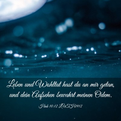 Picture 03 - Hiob 10:12 LUTH1912 - Leben und Wohltat hast du an mir getan, und dein - Bible Verse Picture