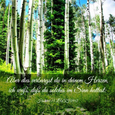 Picture 03 - Hiob 10:13 LUTH1912 - Aber dies verbargst du in deinem Herzen, ich - Bible Verse Picture