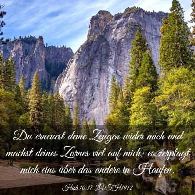 Picture 03 - Hiob 10:17 LUTH1912 - Du erneuest deine Zeugen wider mich und machst - Bible Verse Picture
