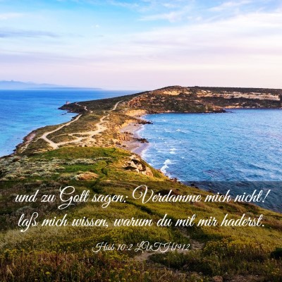 Picture 03 - Hiob 10:2 LUTH1912 - und zu Gott sagen: Verdamme mich nicht! laß mich - Bible Verse Picture
