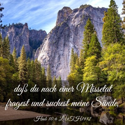 Picture 03 - Hiob 10:6 LUTH1912 - daß du nach einer Missetat fragest und suchest - Bible Verse Picture