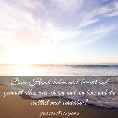 Picture 03 - Hiob 10:8 LUTH1912 - Deine Hände haben mich bereitet und gemacht - Bible Verse Picture