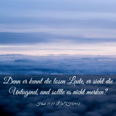 Picture 03 - Hiob 11:11 LUTH1912 - Denn er kennt die losen Leute, er sieht die - Bible Verse Picture