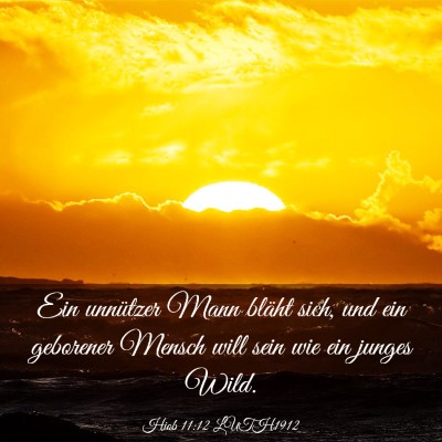 Picture 03 - Hiob 11:12 LUTH1912 - Ein unnützer Mann bläht sich, und ein geborener - Bible Verse Picture