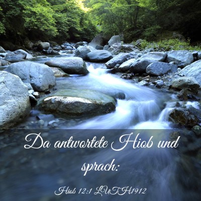Picture 03 - Hiob 12:1 LUTH1912 - Da antwortete Hiob und - Bible Verse Picture