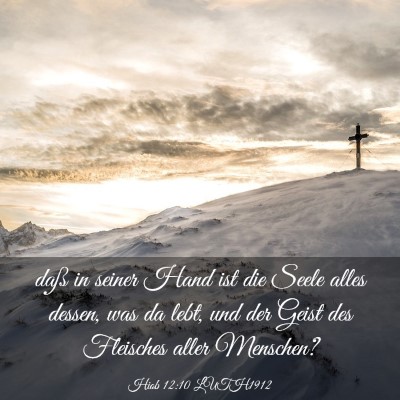 Picture 03 - Hiob 12:10 LUTH1912 - daß in seiner Hand ist die Seele alles dessen, - Bible Verse Picture
