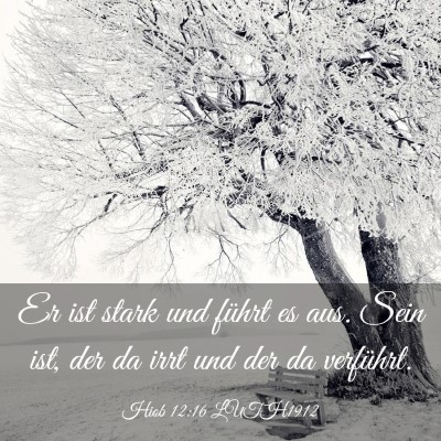 Picture 03 - Hiob 12:16 LUTH1912 - Er ist stark und führt es aus. Sein ist, der da - Bible Verse Picture