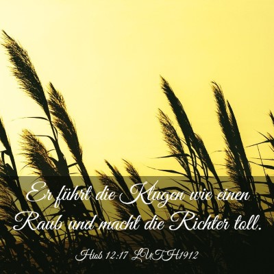 Picture 03 - Hiob 12:17 LUTH1912 - Er führt die Klugen wie einen Raub und macht die - Bible Verse Picture