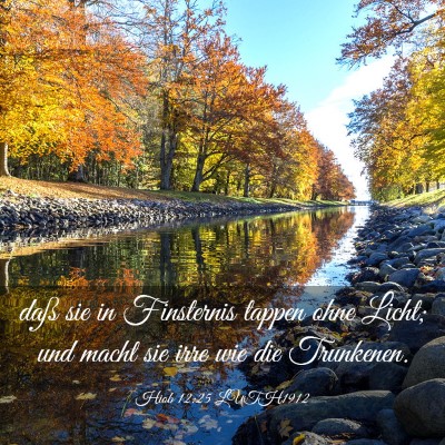 Picture 03 - Hiob 12:25 LUTH1912 - daß sie in Finsternis tappen ohne Licht; und - Bible Verse Picture