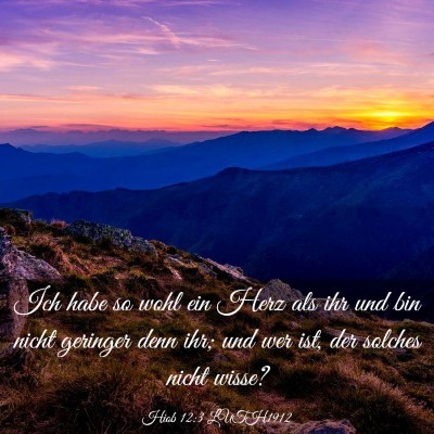 Picture 03 - Hiob 12:3 LUTH1912 - Ich habe so wohl ein Herz als ihr und bin nicht - Bible Verse Picture