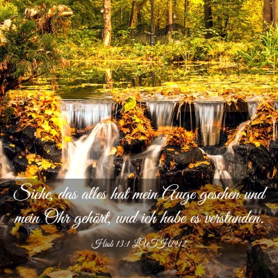 Picture 03 - Hiob 13:1 LUTH1912 - Siehe, das alles hat mein Auge gesehen und mein - Bible Verse Picture