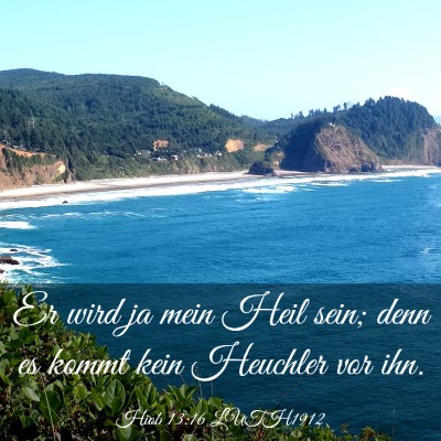 Picture 03 - Hiob 13:16 LUTH1912 - Er wird ja mein Heil sein; denn es kommt kein - Bible Verse Picture