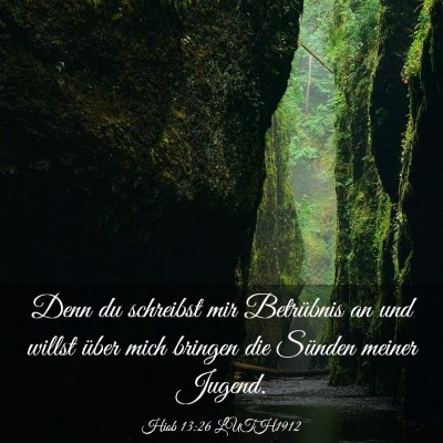 Picture 03 - Hiob 13:26 LUTH1912 - Denn du schreibst mir Betrübnis an und willst - Bible Verse Picture