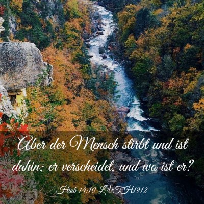 Picture 03 - Hiob 14:10 LUTH1912 - Aber der Mensch stirbt und ist dahin; er - Bible Verse Picture