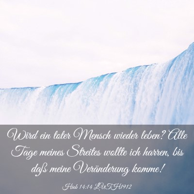 Picture 03 - Hiob 14:14 LUTH1912 - Wird ein toter Mensch wieder leben? Alle Tage - Bible Verse Picture