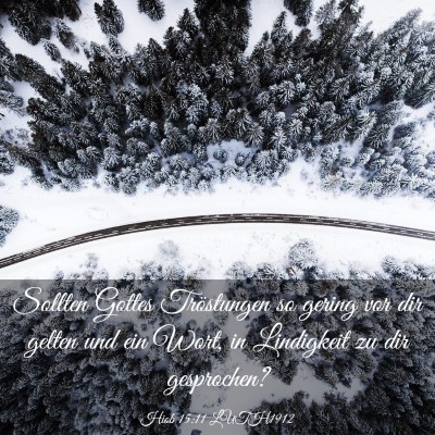 Picture 03 - Hiob 15:11 LUTH1912 - Sollten Gottes Tröstungen so gering vor dir - Bible Verse Picture