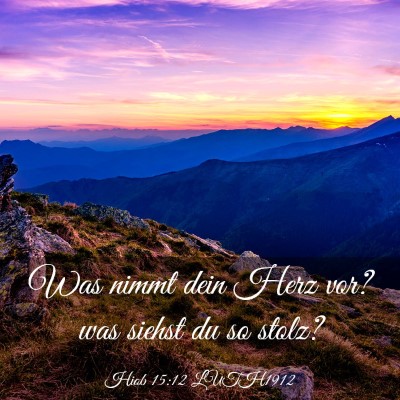 Picture 03 - Hiob 15:12 LUTH1912 - Was nimmt dein Herz vor? was siehst du so - Bible Verse Picture