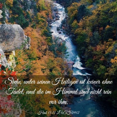 Picture 03 - Hiob 15:15 LUTH1912 - Siehe, unter seinen Heiligen ist keiner ohne - Bible Verse Picture