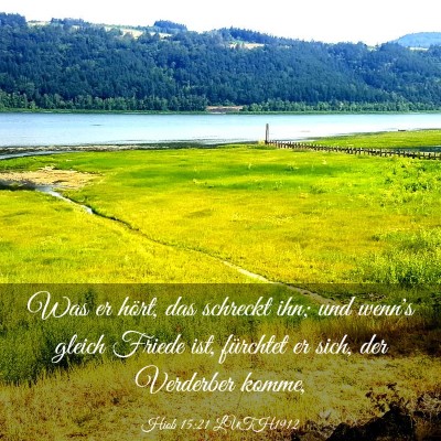 Picture 03 - Hiob 15:21 LUTH1912 - Was er hört, das schreckt ihn; und wenn's gleich - Bible Verse Picture