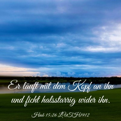 Picture 03 - Hiob 15:26 LUTH1912 - Er läuft mit dem Kopf an ihn und ficht - Bible Verse Picture