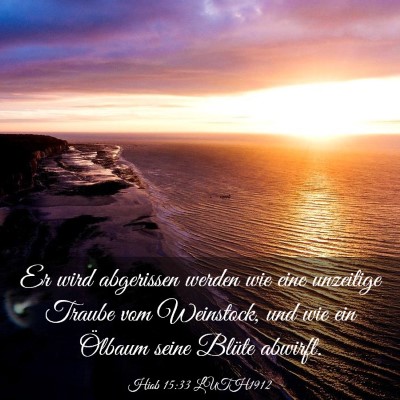 Picture 03 - Hiob 15:33 LUTH1912 - Er wird abgerissen werden wie eine unzeitige - Bible Verse Picture