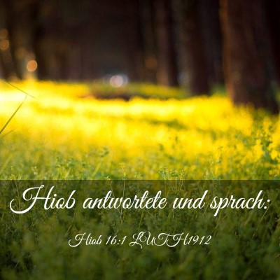 Picture 03 - Hiob 16:1 LUTH1912 - Hiob antwortete und - Bible Verse Picture