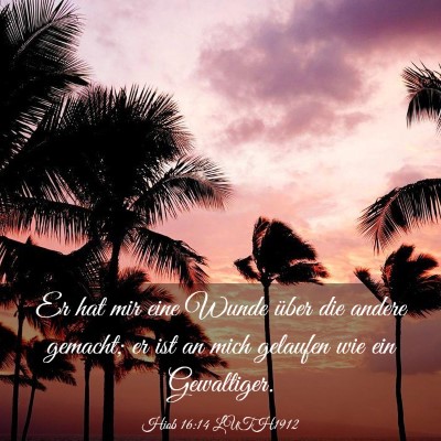 Picture 03 - Hiob 16:14 LUTH1912 - Er hat mir eine Wunde über die andere gemacht; - Bible Verse Picture