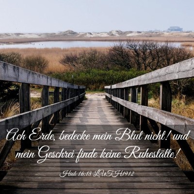 Picture 03 - Hiob 16:18 LUTH1912 - Ach Erde, bedecke mein Blut nicht! und mein - Bible Verse Picture